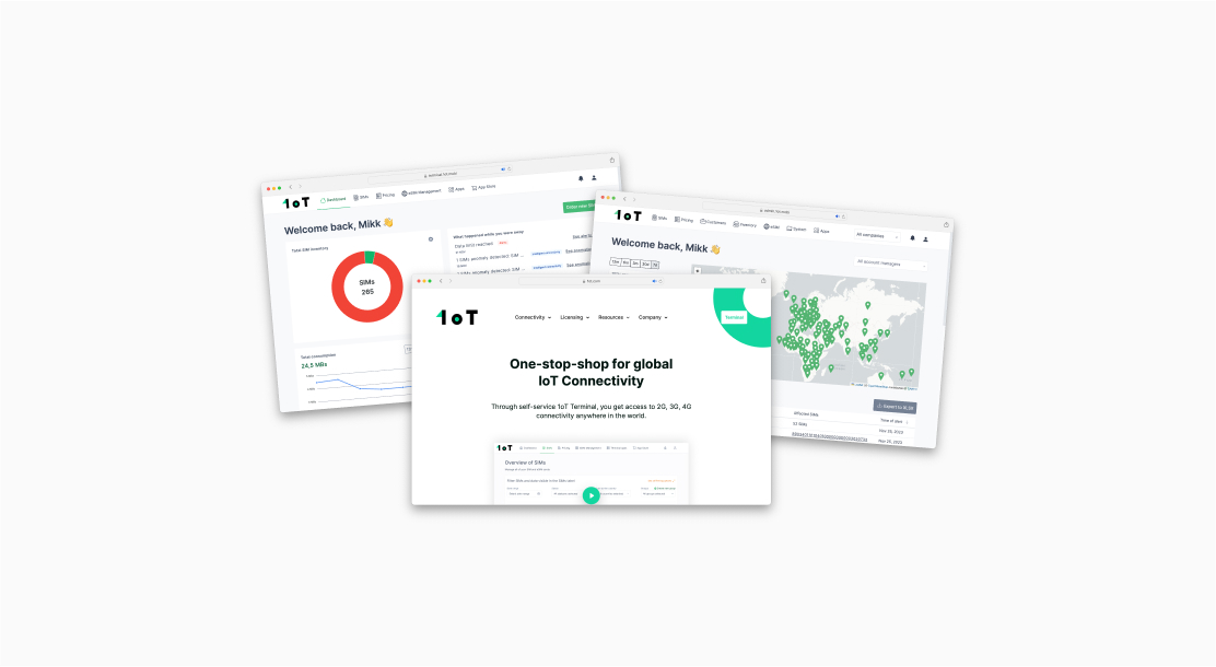 1oT Terminal overview and strategic process