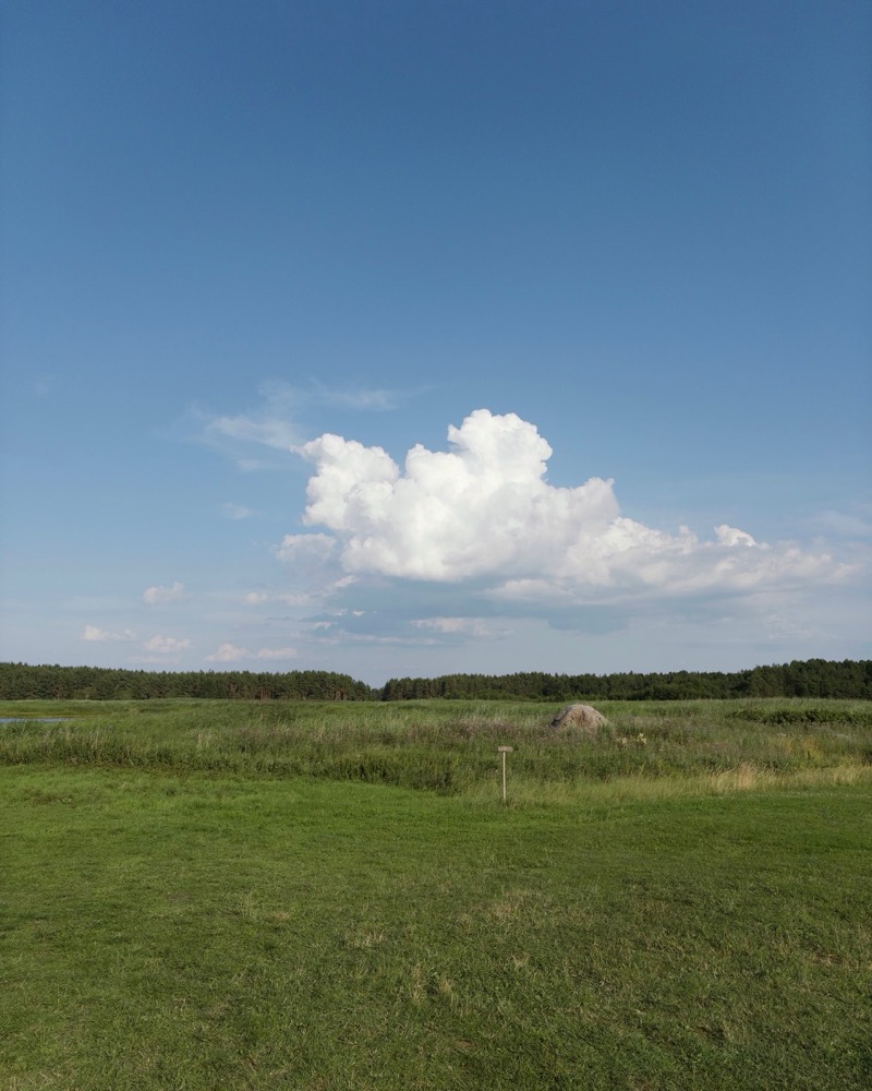 A lone cloud over a green field under a wide summer sky